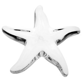Baccarat Crystal - Starfish - Style No: 1765672